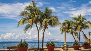 A coastal promenade with palm trees, potted plants, benches, and a view of the sea. - Koze Suites (Dumaguete)