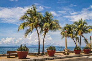 A coastal promenade with palm trees, potted plants, benches, and a view of the sea. - Koze Suites (Dumaguete)