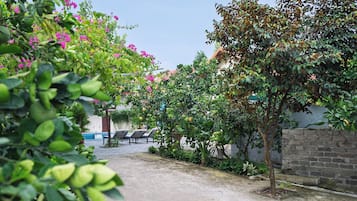 Pátio com caminho de paralelepípedos, cadeiras de descanso e diversas plantas, incluindo arbustos floridos e árvores frutíferas.