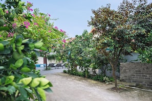 Un patio con un sendero empedrado, sillas de descanso y una variedad de plantas, incluyendo arbustos florecientes y árboles frutales.