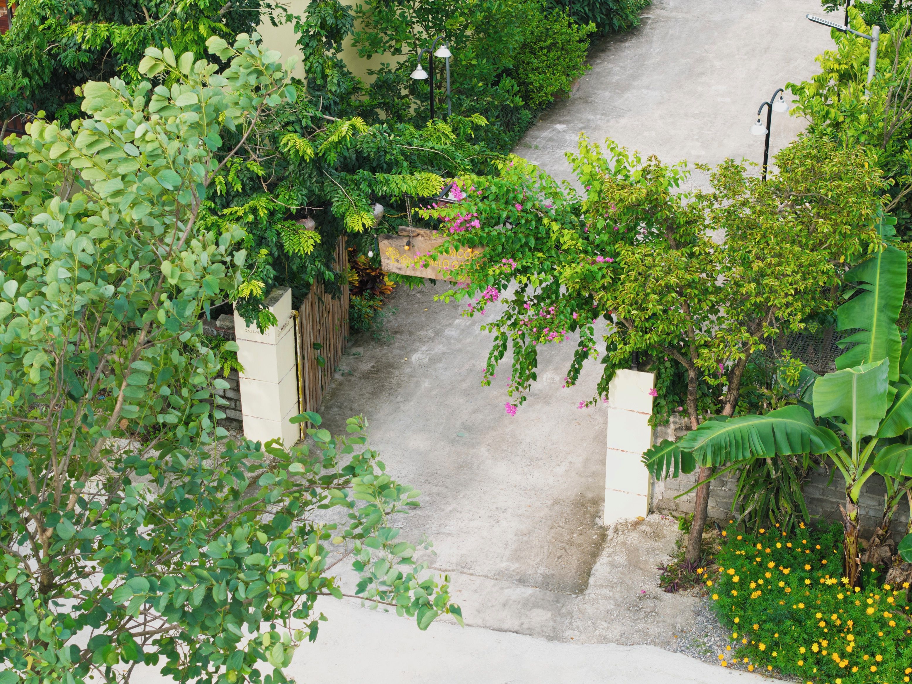 A concrete pathway flanked by lush greenery and flowering plants, leading to a gated entrance.