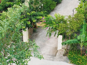 Um caminho estreito ladeado por vegetação exuberante e plantas floridas, que leva a um portão fechado.