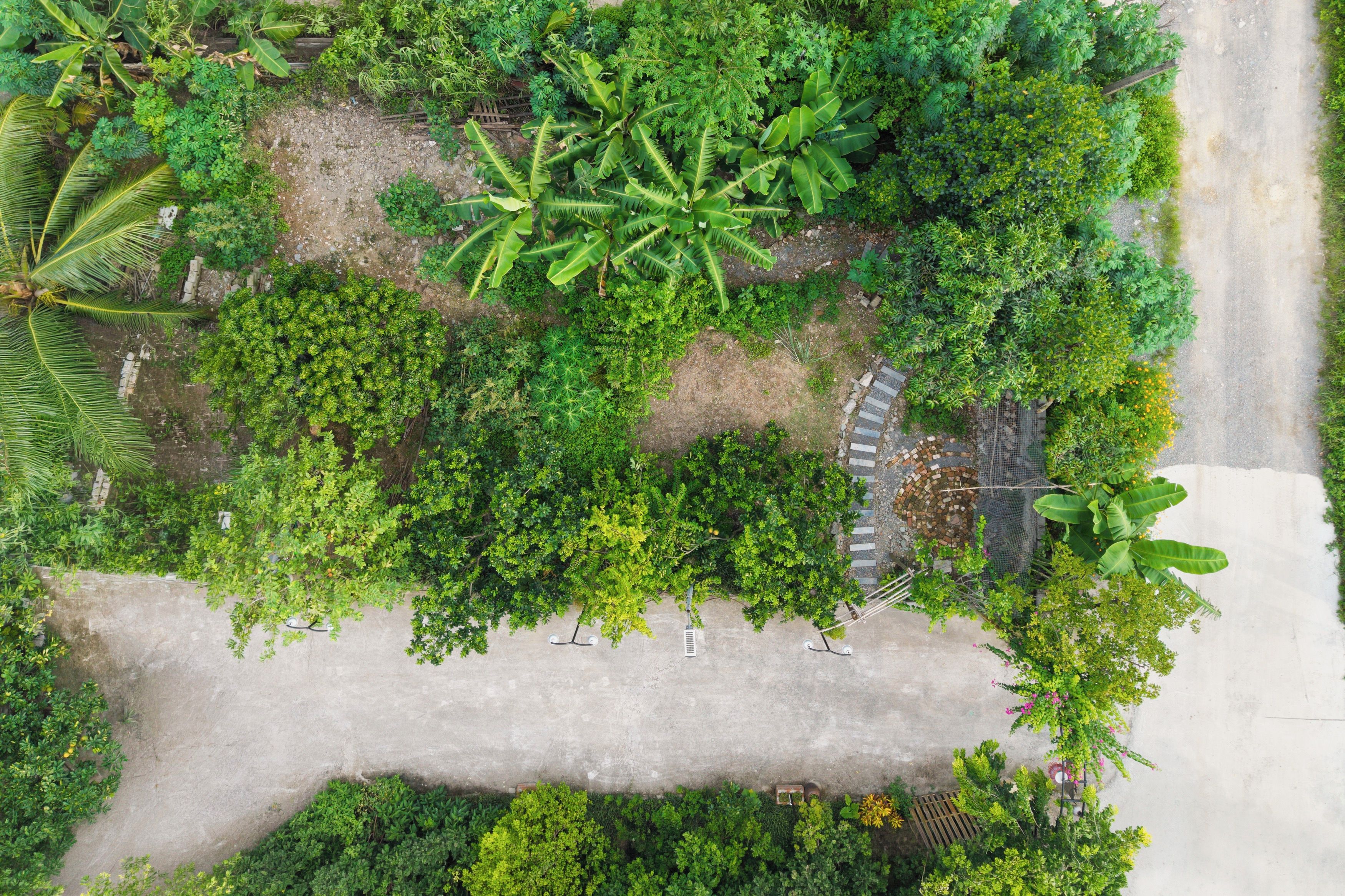 An aerial view of a landscaped area with a paved path, dense greenery, and a small water feature.