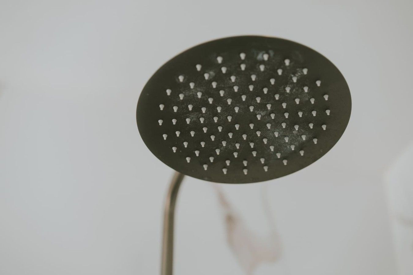 Un pommeau de douche au design circulaire, doté de plusieurs petits trous.