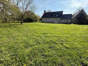 A grassy field with a stone building and a tree.