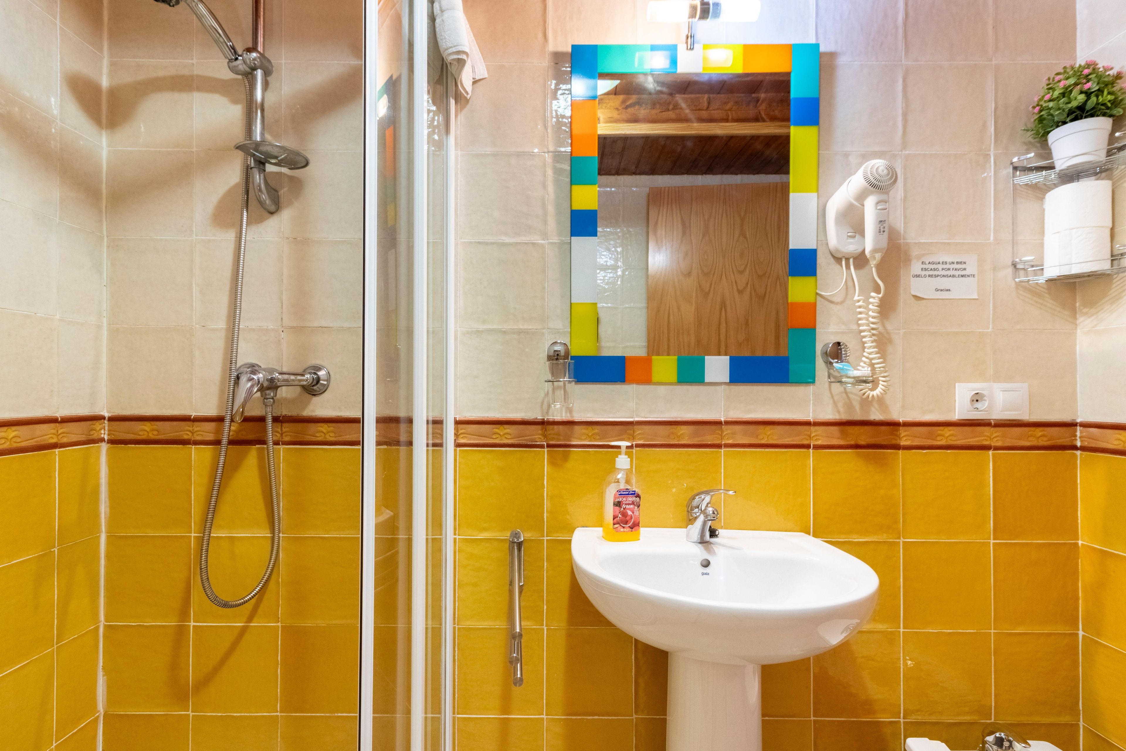 A bathroom with a glass shower enclosure, a sink with a soap dispenser, and a mirror with a colorful frame.
