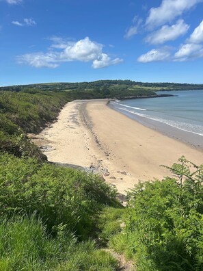 Eine Küstenlandschaft mit Sandstrand, viel Grün und blauem Himmel.