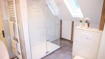 A modern bathroom with a glass shower enclosure, a towel rack, and a skylight.