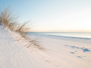 Ein Strand mit Dünen und blauem Himmel.