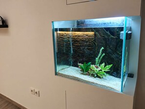 Een wandaquarium met een rotsachtige achtergrond en waterplanten.