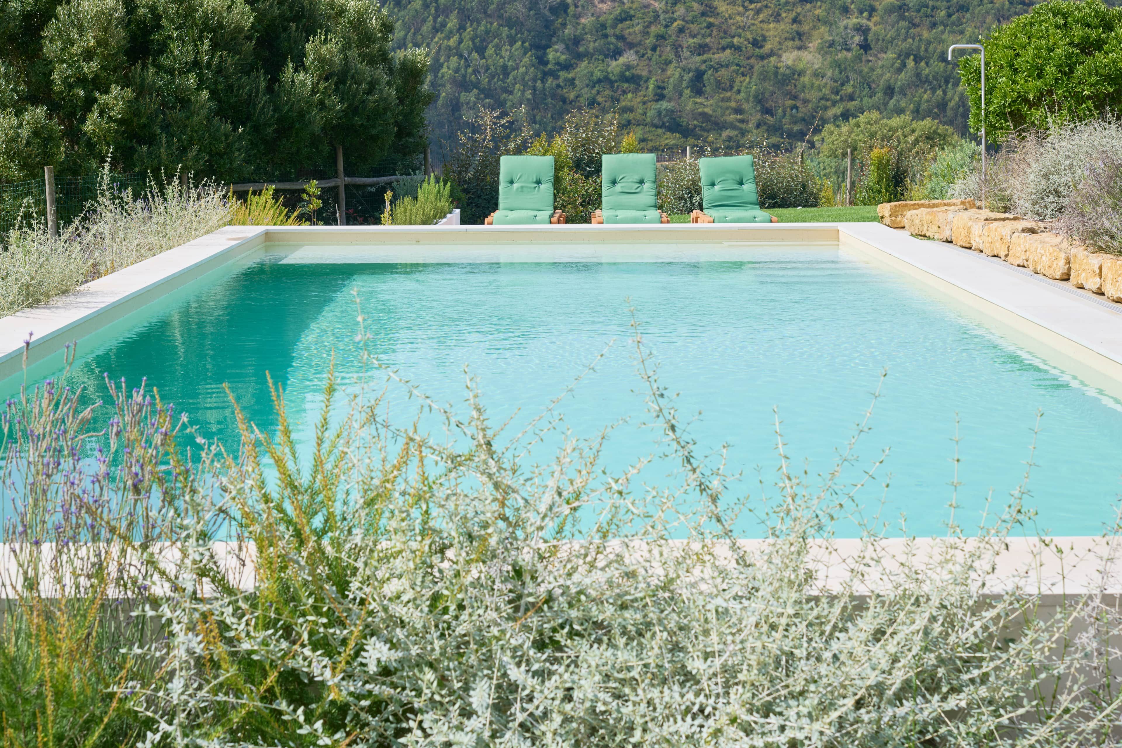 Una piscina rectangular con superficie de agua azul cristalina, rodeada por un muro de piedra bajo y abundante vegetación.