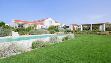 A modern house with a swimming pool, surrounded by a well-maintained lawn and various plants.