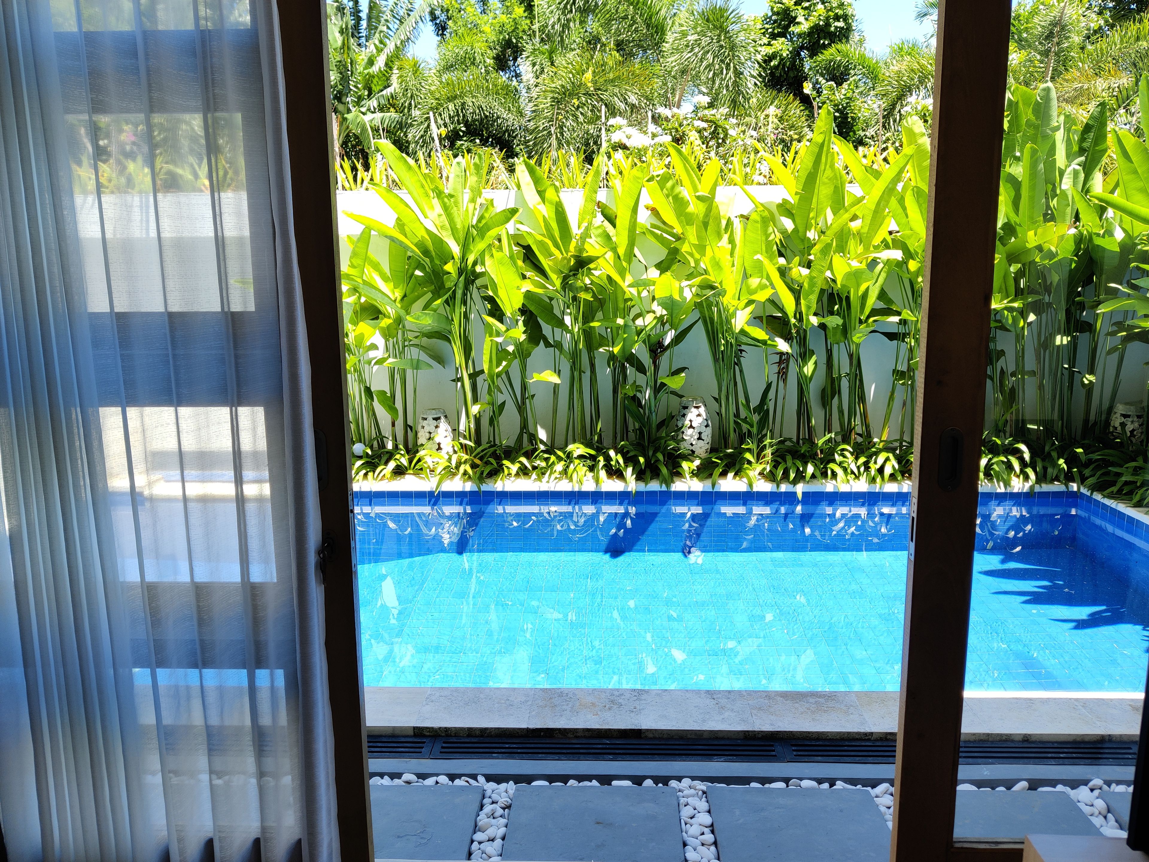 Vista despejada de una piscina con borde de azulejos, rodeada de exuberante vegetación y una pared blanca.