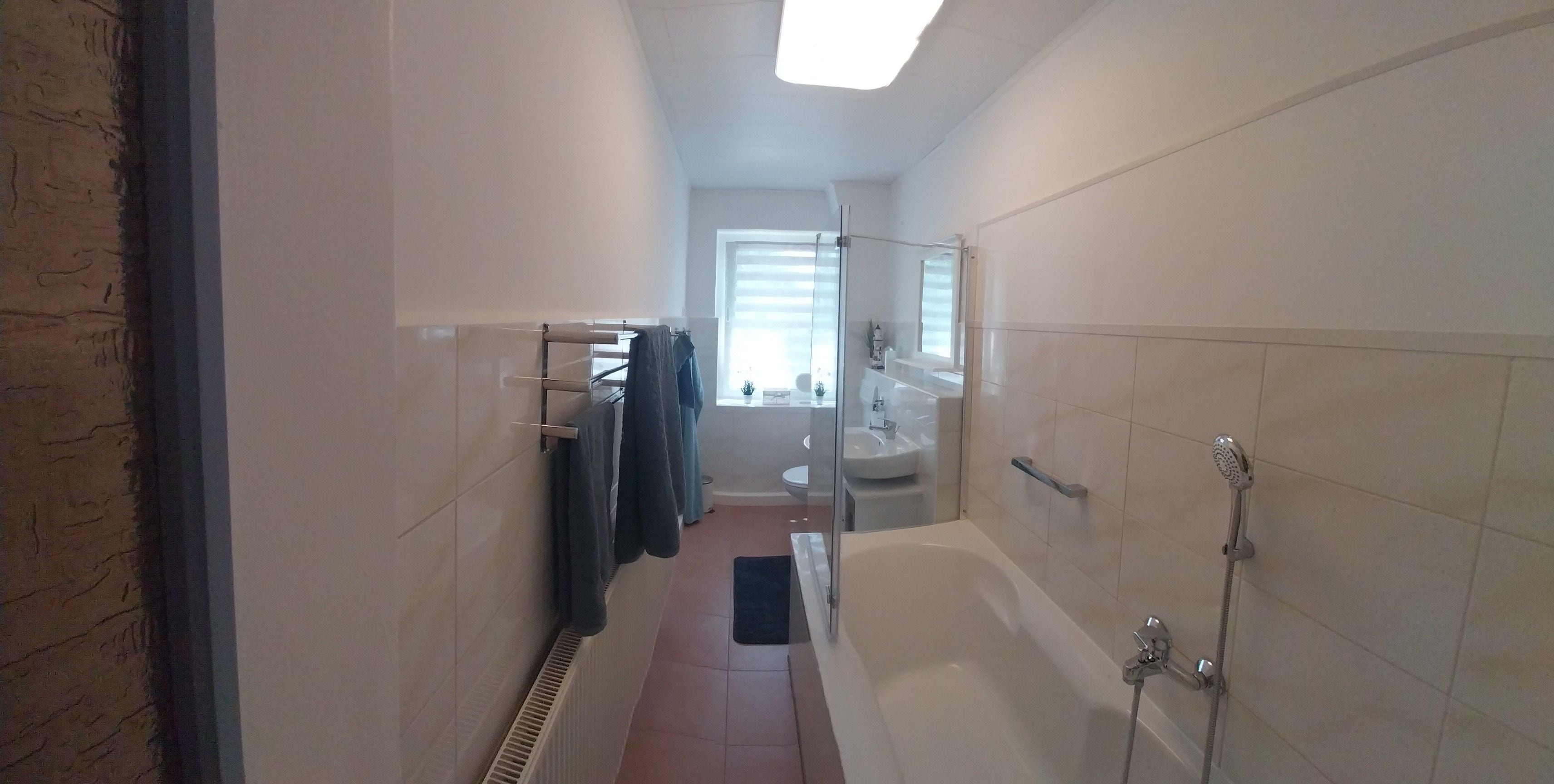A narrow bathroom with a bathtub, a shower, and a glass-enclosed toilet.