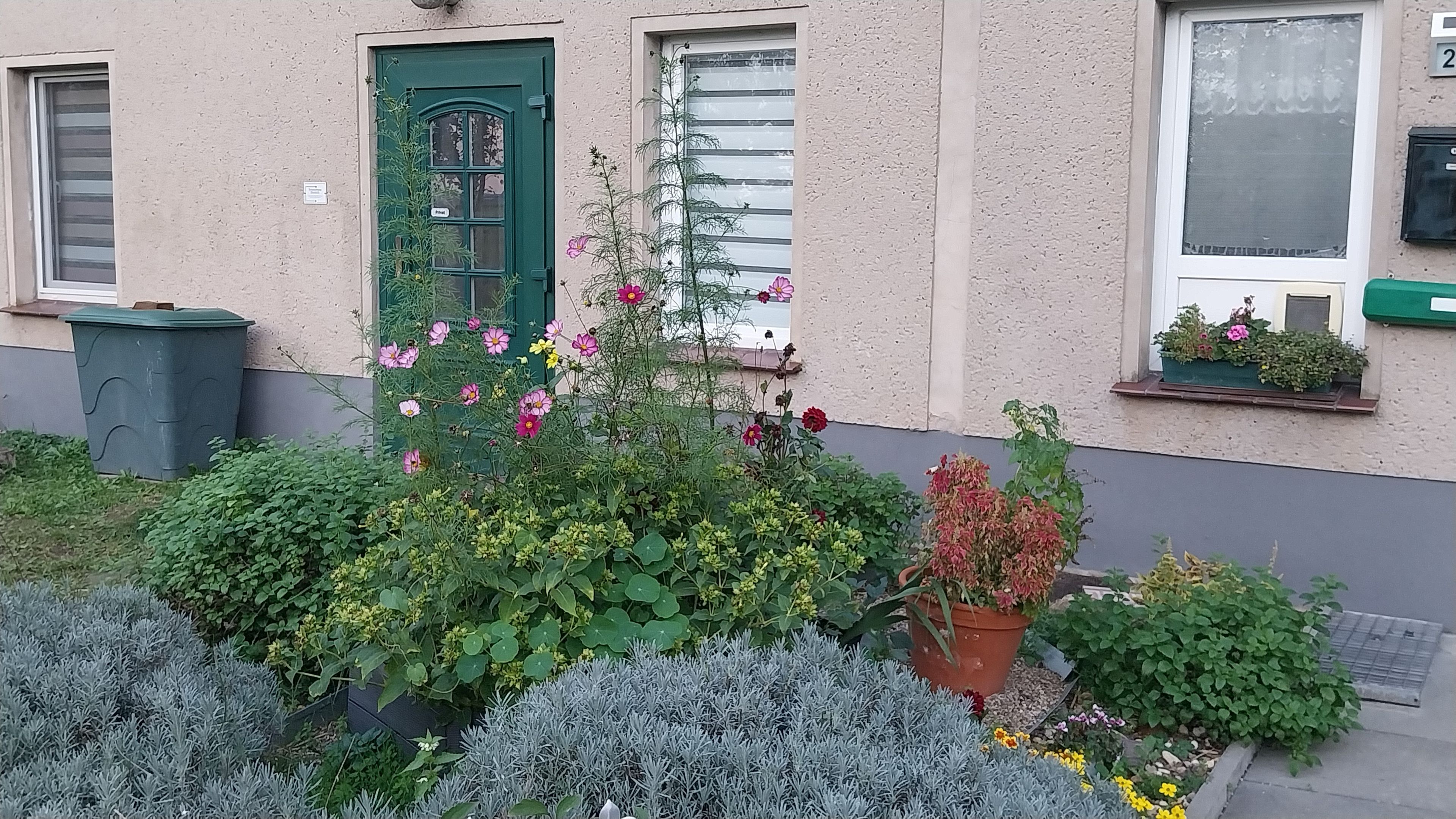 Ein Gebäude mit einer grünen Tür, einem Fenster mit weißem Rahmen und einem kleinen Balkon mit Topfpflanzen.