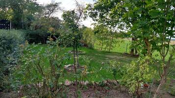 A garden with various plants and trees, a grassy area, and a fence in the background.