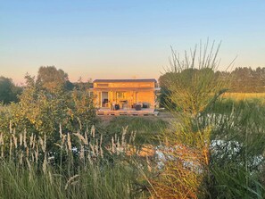 A modern house with a patio, surrounded by tall grasses and trees.