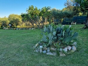 A cactus garden with rocks and grass, surrounded by trees and a fence. - B&B La Locanda delle Idee Perugia – Apartment in a stone farmhouse (Umbria)