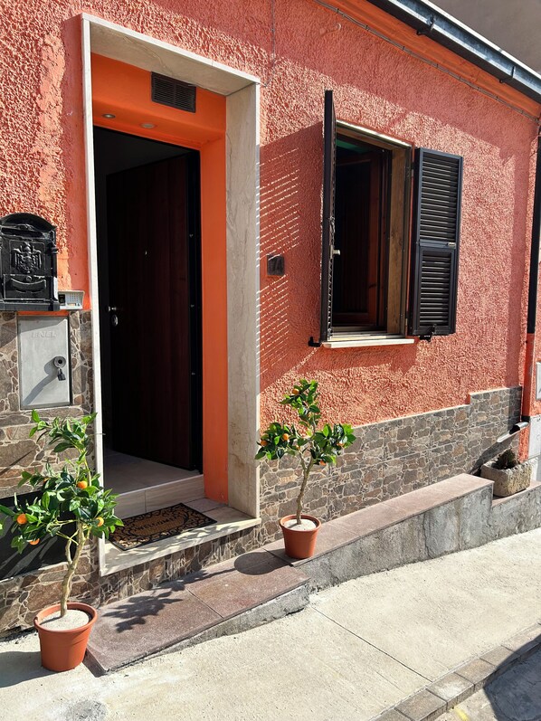 A building with a red textured exterior, a door with a black handle, a window with black shutters, and potted plants.