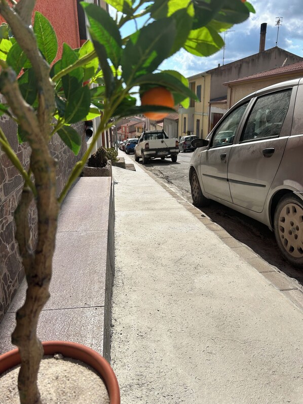 A street with parked cars, a building with a stone facade, and a potted plant in the foreground.