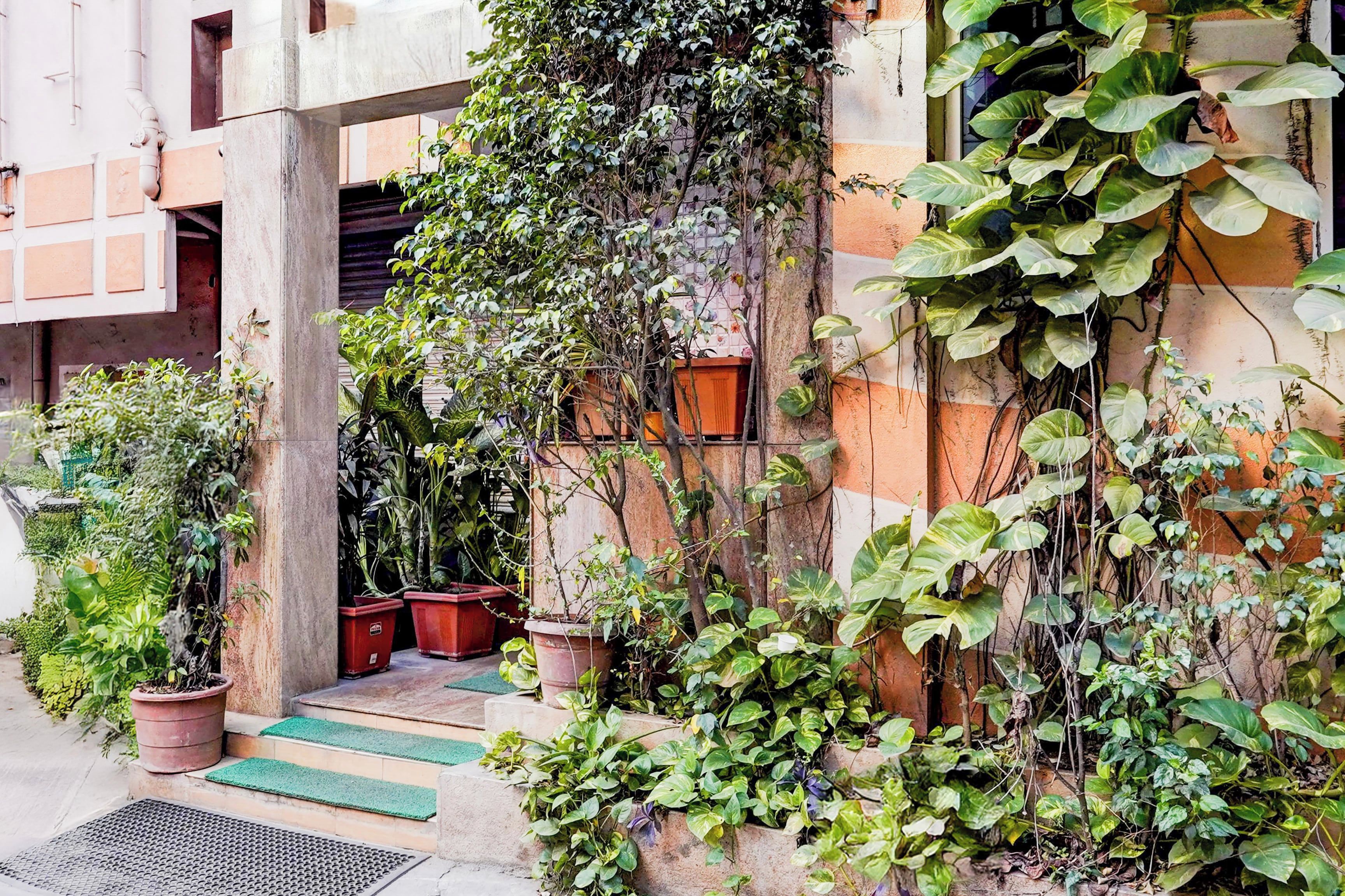 Un edificio con una escalera de hormigón que lleva a una puerta, rodeado de macetas con plantas y enredaderas.