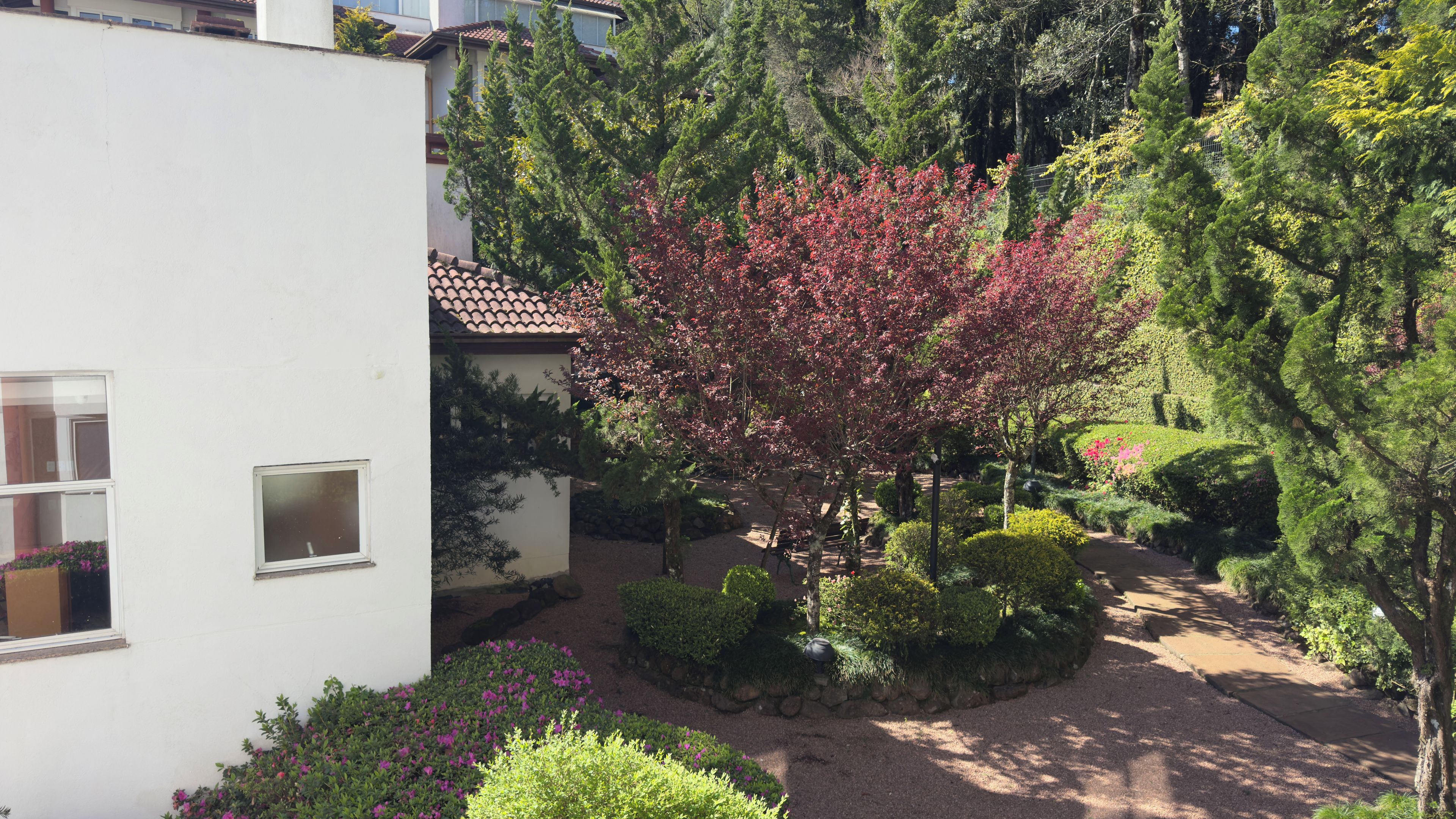 A white building with a tiled roof, surrounded by a well-maintained garden with various shrubs and a prominent tree with red leaves.