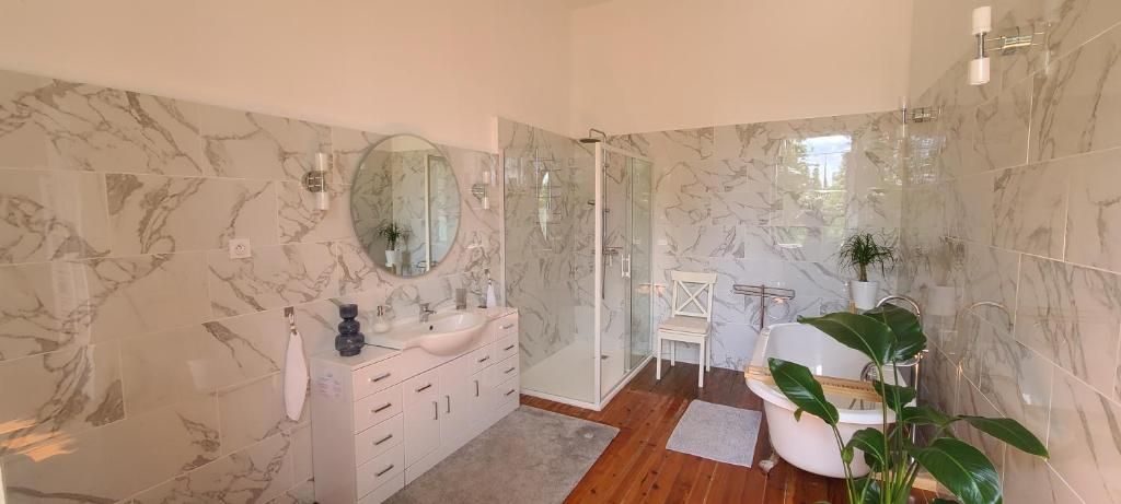 Une salle de bain aux murs recouverts de marbre, avec une douche en verre, un lavabo blanc et une plante en pot.