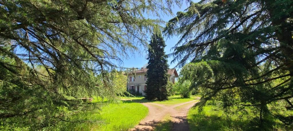 Un chemin menant à un bâtiment entouré d’une végétation luxuriante.
