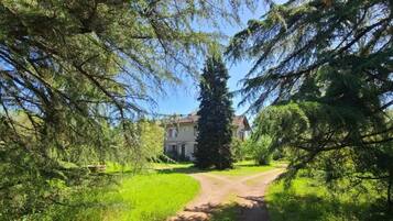 Un chemin menant à un bâtiment entouré d’une végétation luxuriante.