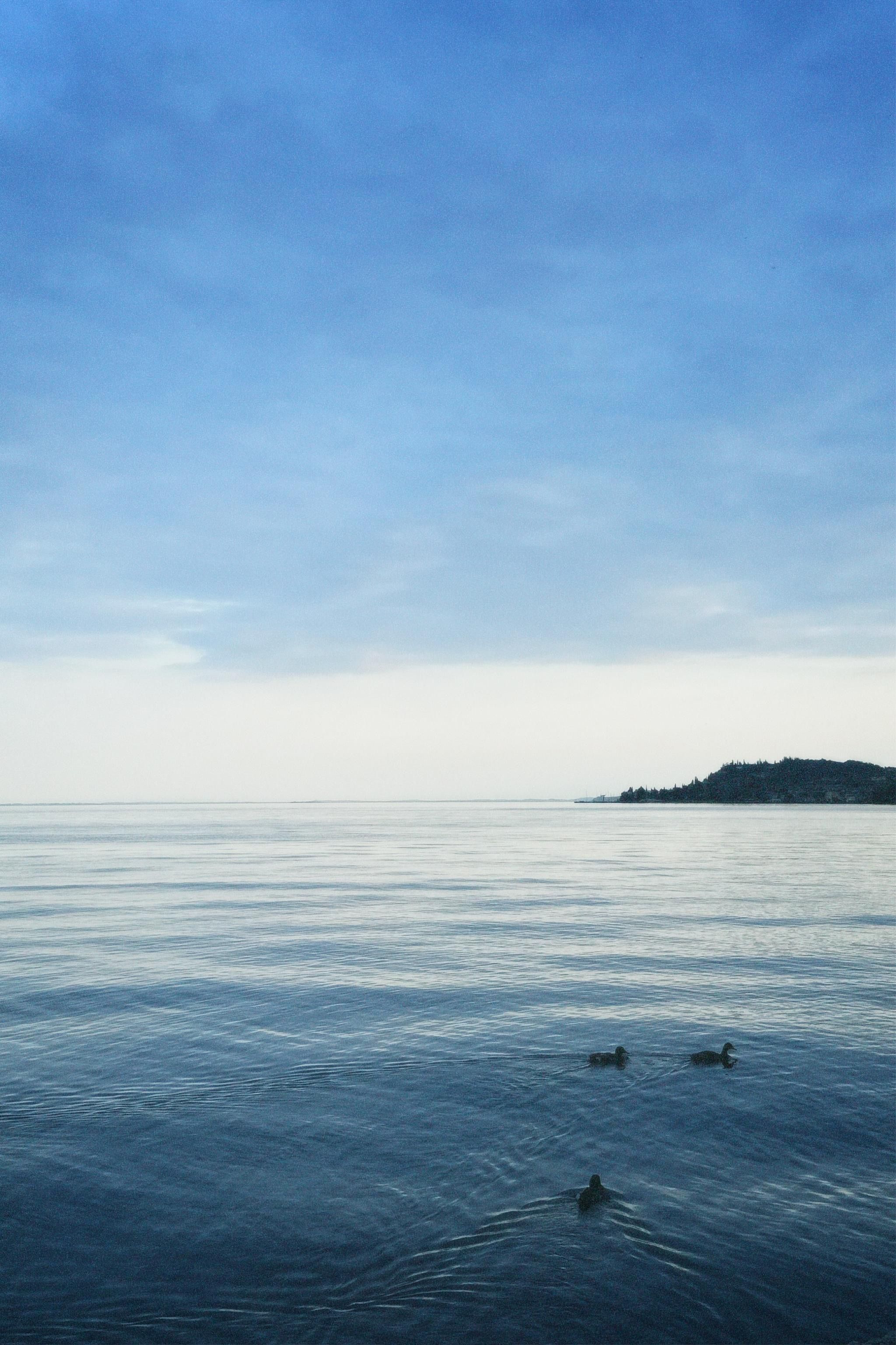 Stille vand med et fjerntliggende landskab og en klar himmel.