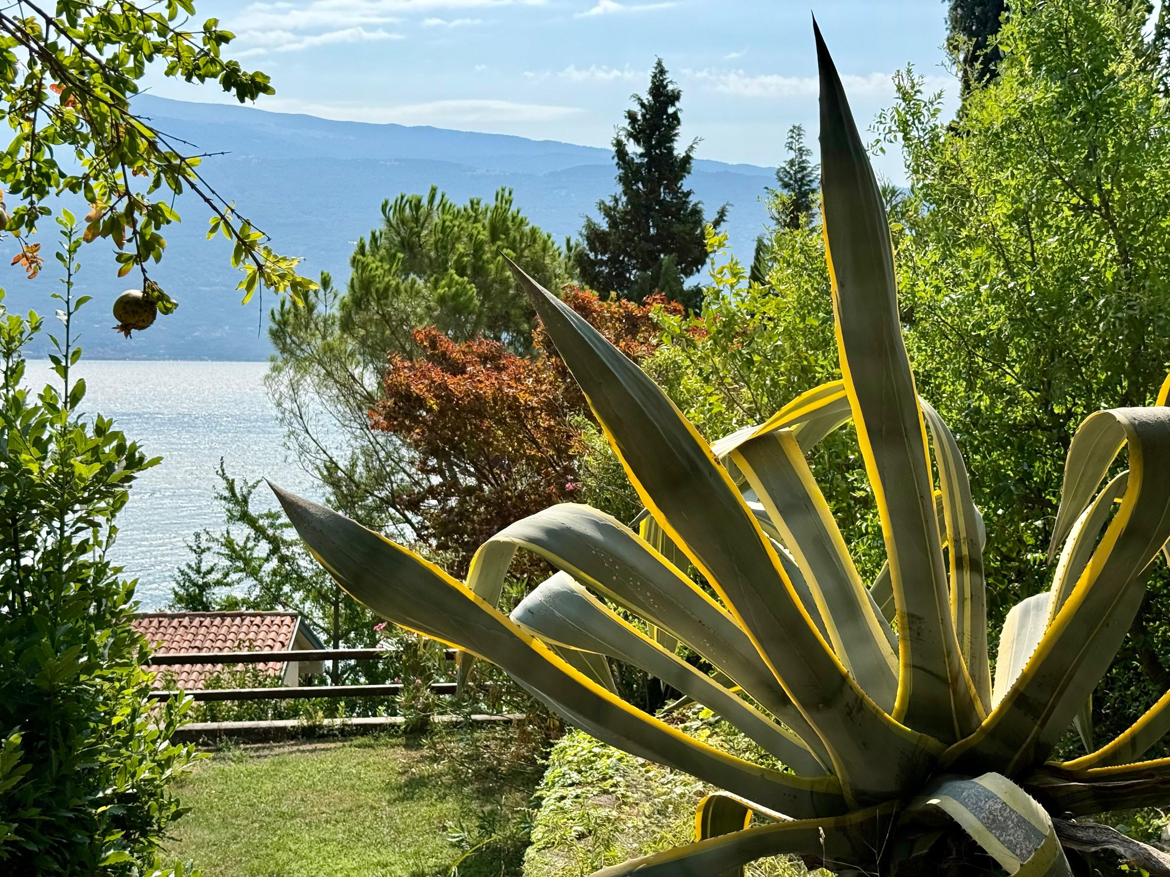 Ein Garten mit einer großen Agavenpflanze, einer Holzbank und Blick auf einen See und Berge.