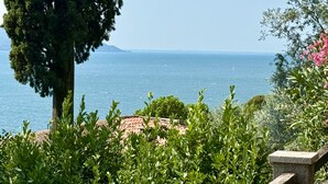 Immagine non classificata, 5 di 52, pulsante