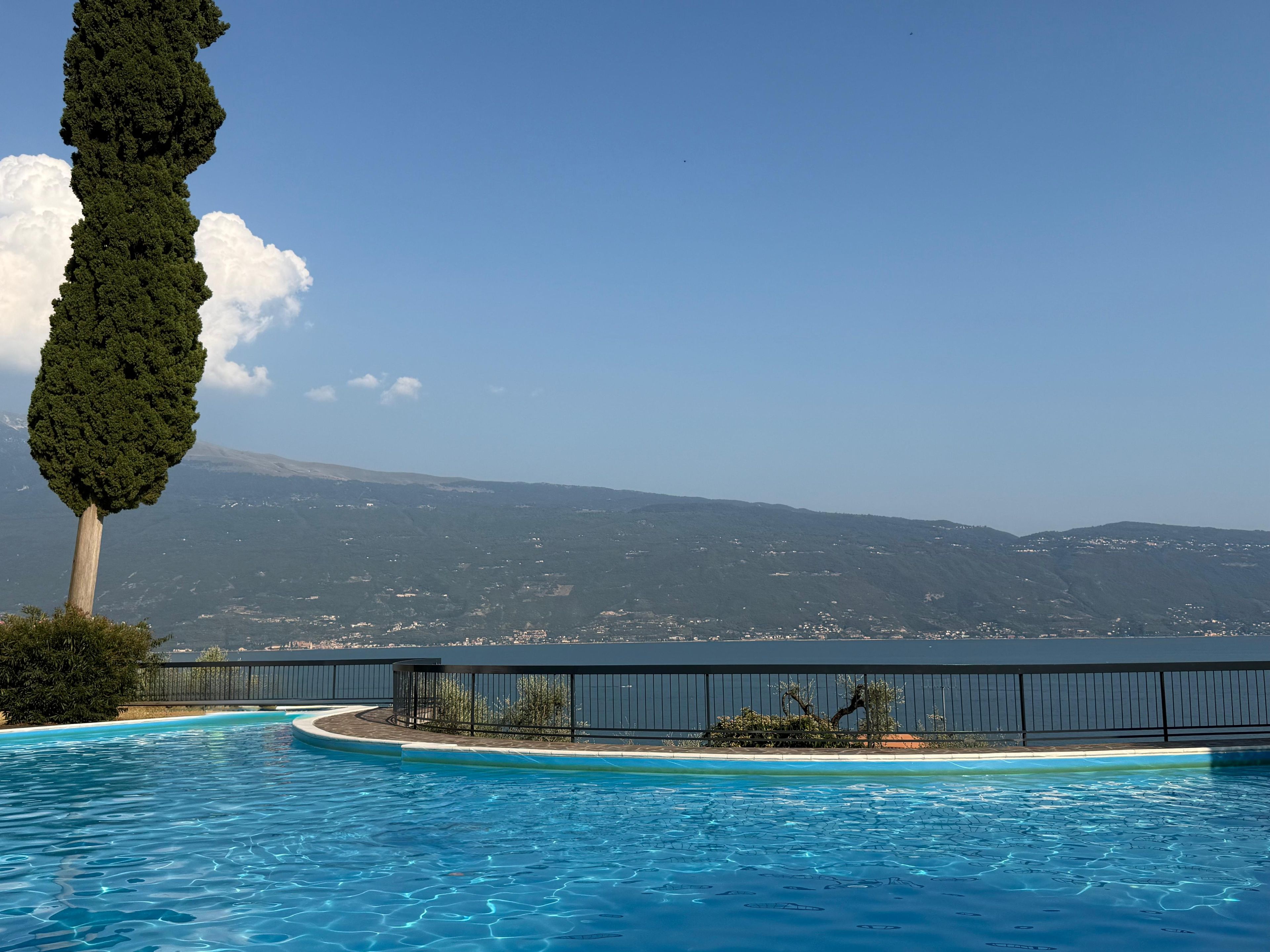 Une piscine offrant une vue sur une chaîne de montagnes et un plan d’eau.