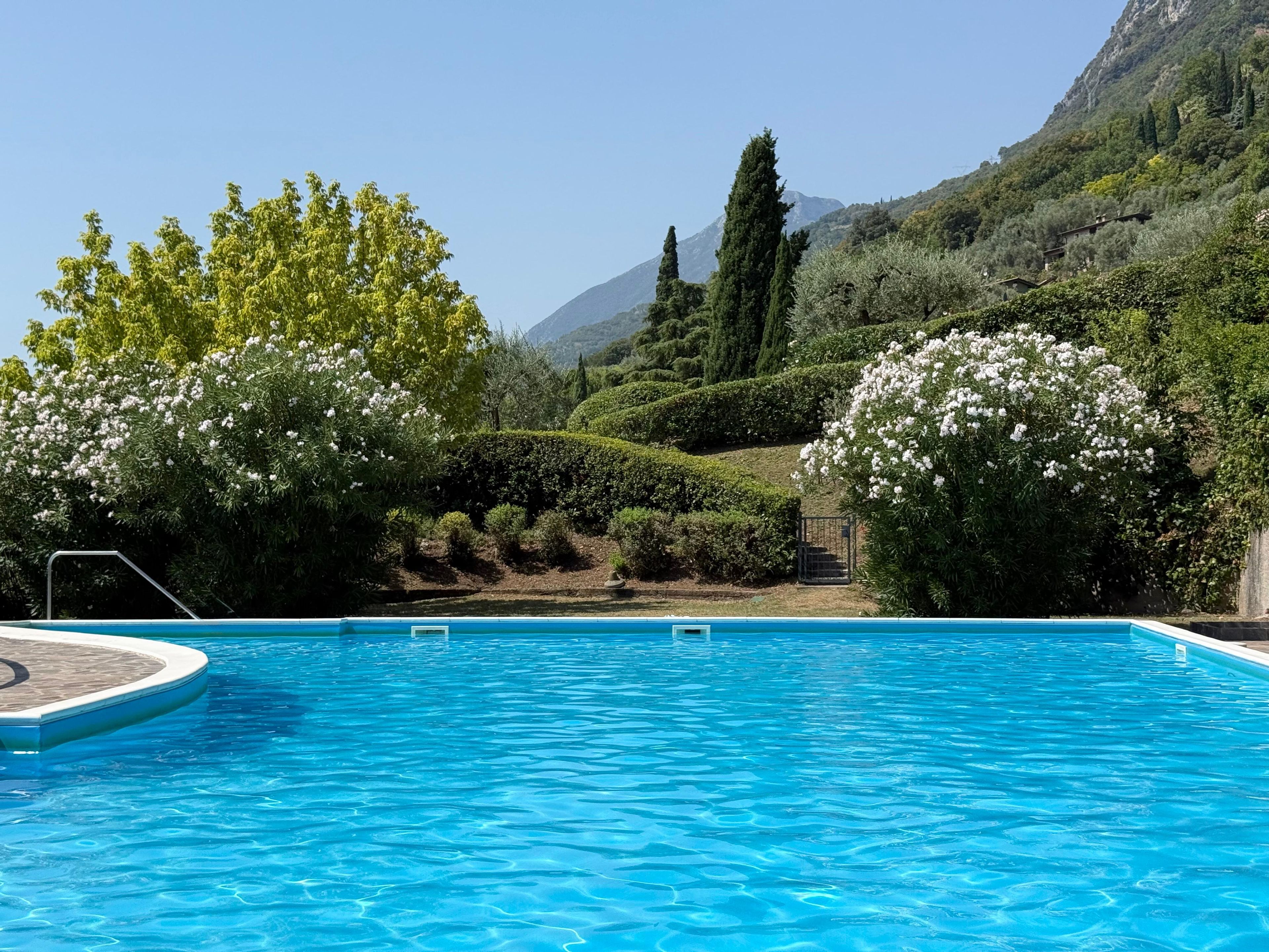Une piscine à l’eau d’un bleu cristallin, entourée d’une végétation luxuriante et dominée par un paysage montagneux.