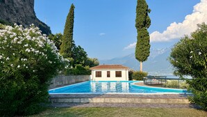 Immagine non classificata, 4 di 52, pulsante