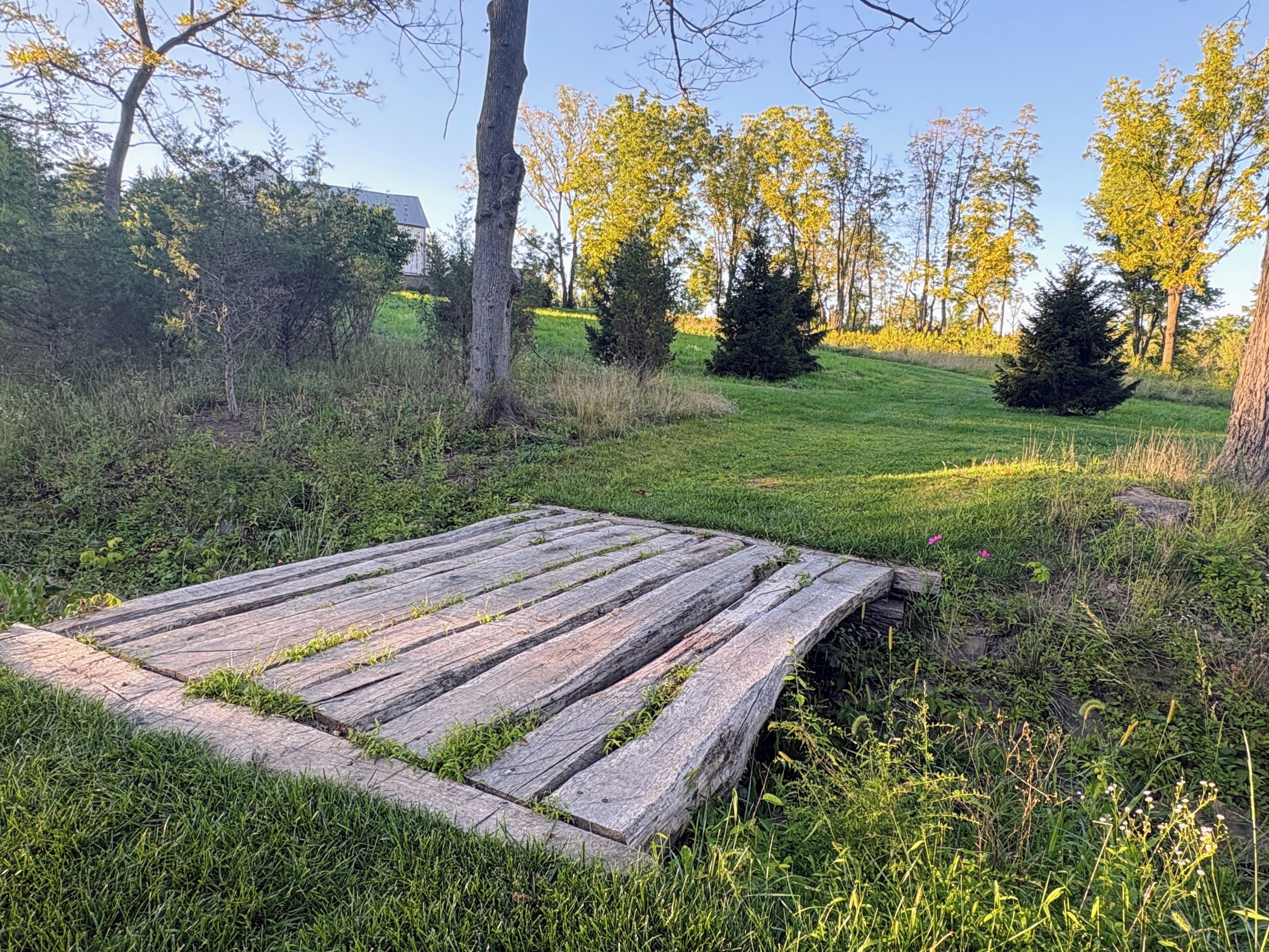 A wooden bridge over a grassy area with trees and a building in the background.