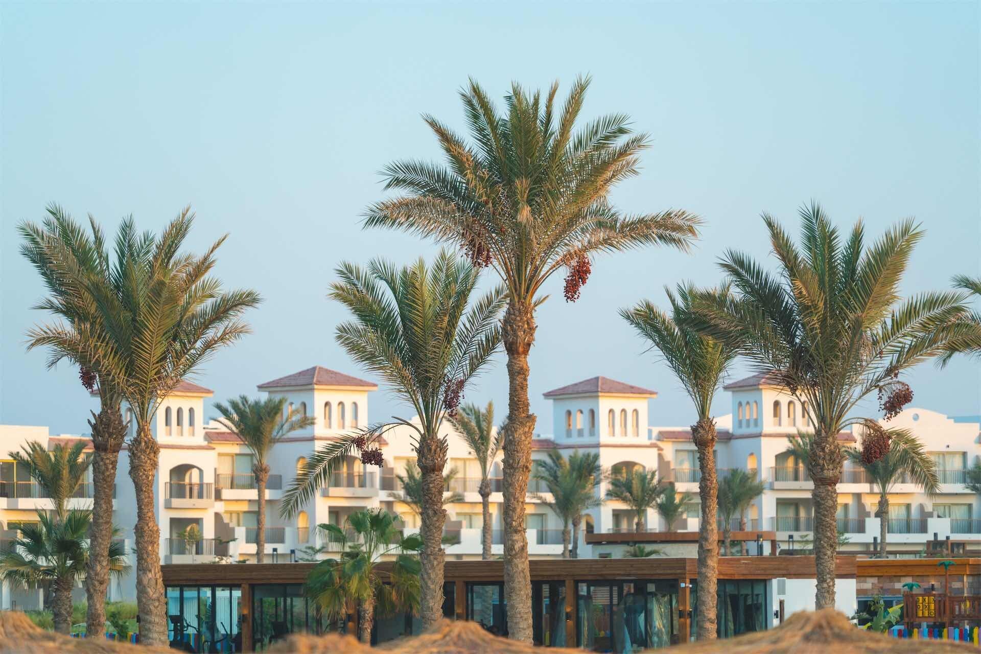 Un resort con palmeras y un edificio con varios balcones.