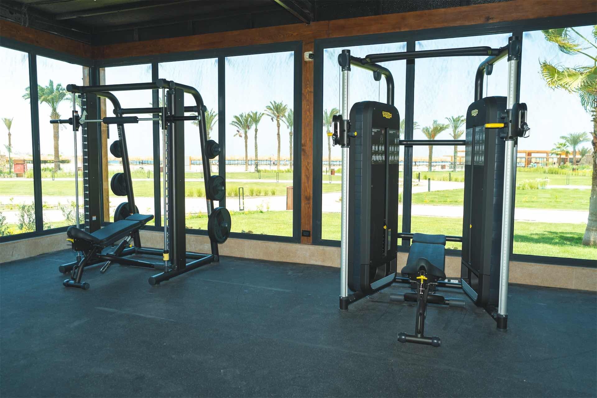 A gym with weightlifting equipment, large windows, and a view of palm trees.