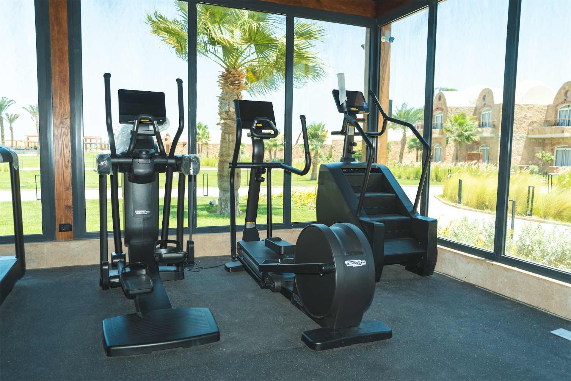 A gym with cardio machines and a view of a landscaped area with palm trees.