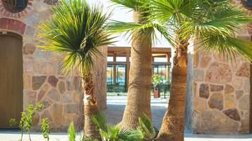Un patio con palmeras, muros de piedra y una puerta de madera.