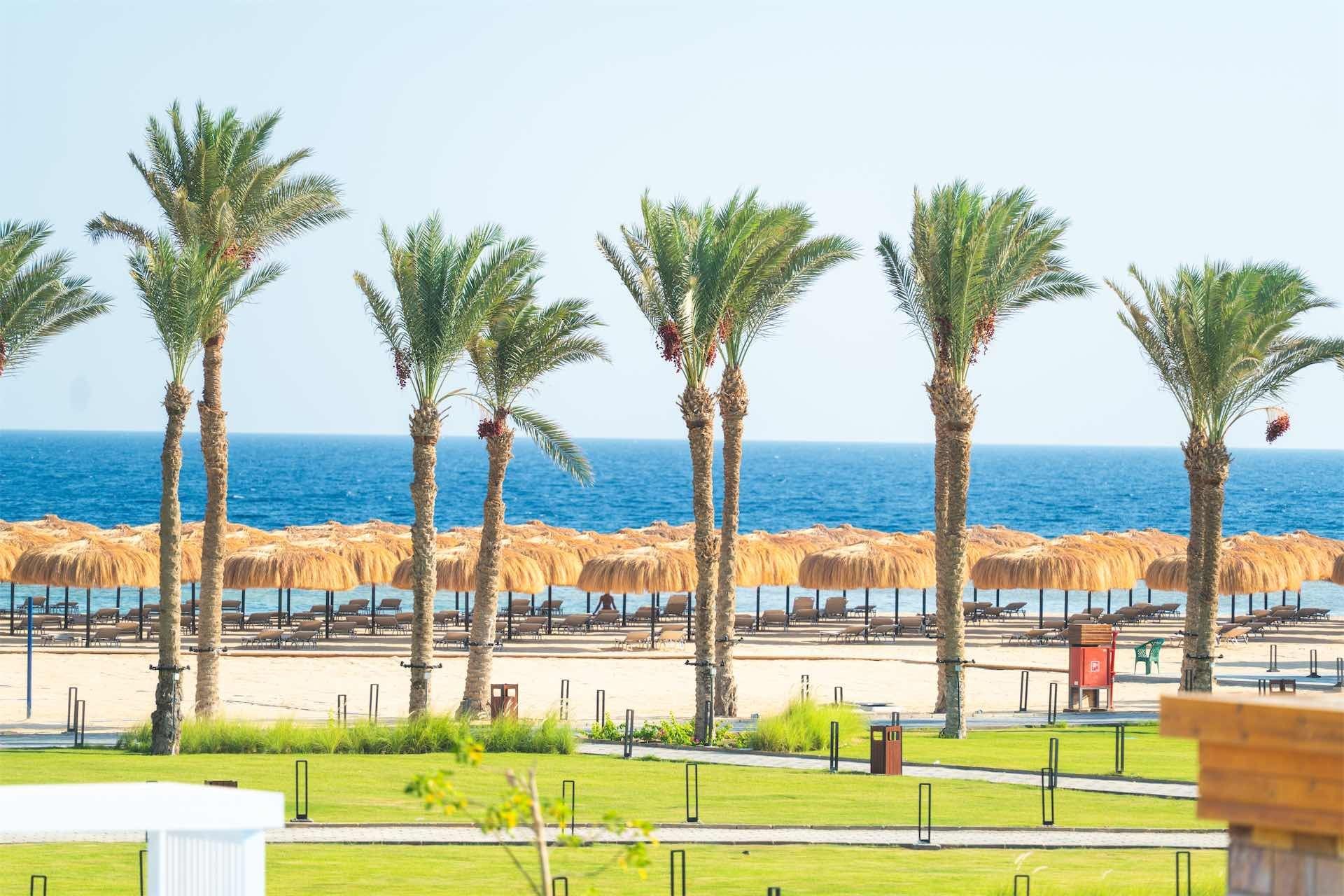 Vista de la playa con palmeras, tumbonas y un cielo azul despejado.