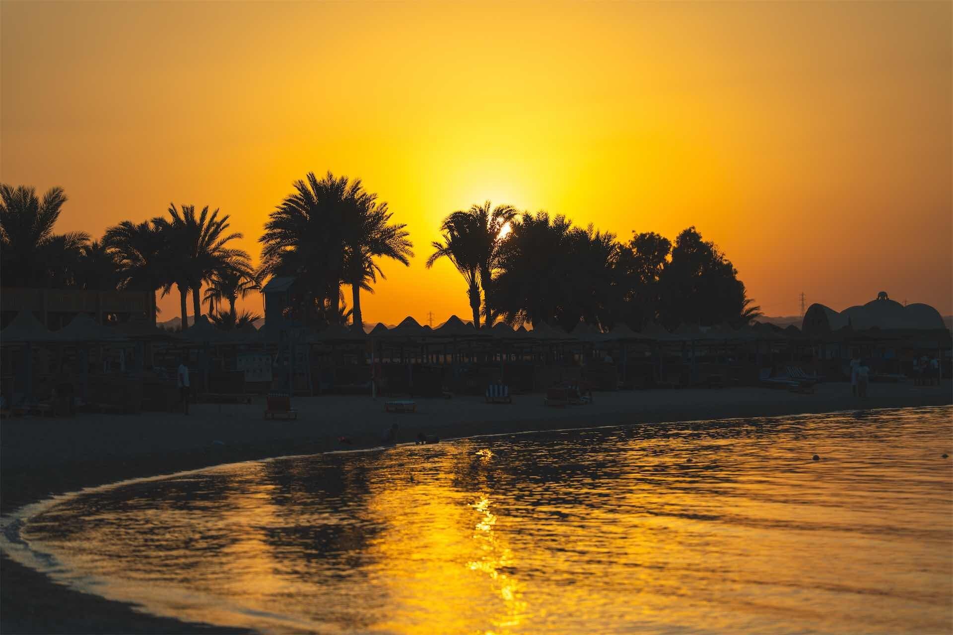 Un atardecer sobre una playa con palmeras y un mar tranquilo.