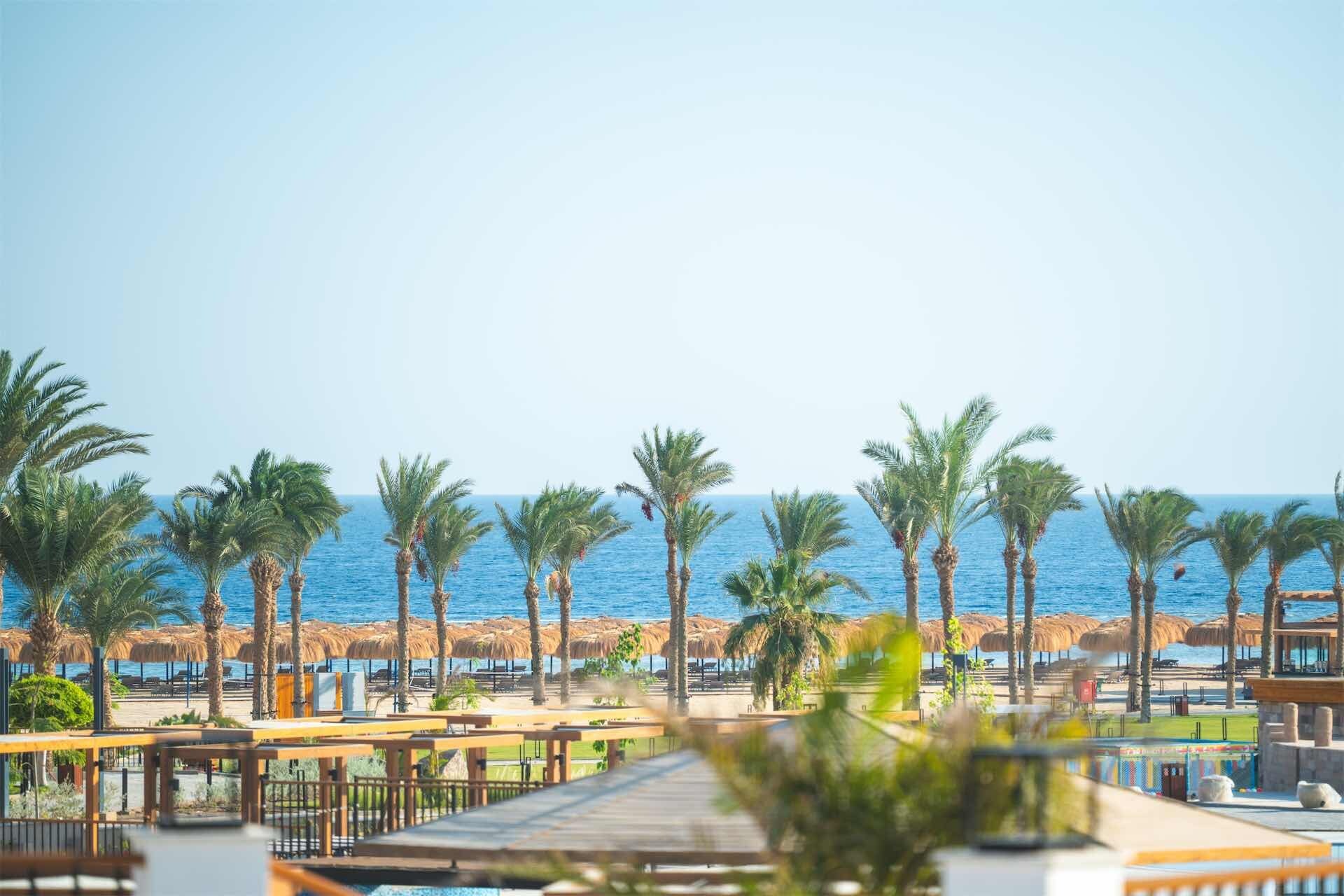A resort with a pool area, palm trees, and a view of the ocean.