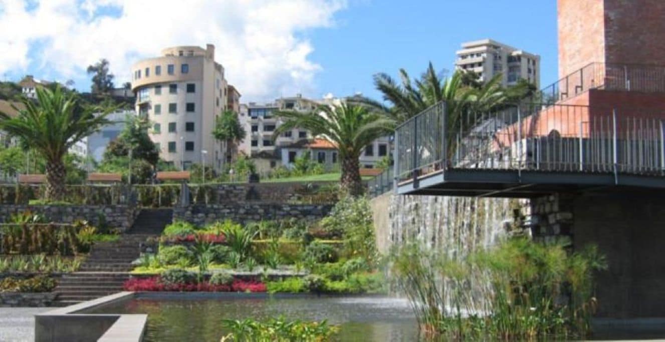 Un jardín ajardinado con fuente de agua, palmeras y una escalera de piedra que lleva a un edificio.