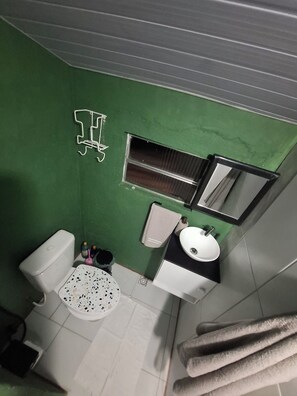 Een badkamer met een groene wand, een wit toilet, een wastafel en een spiegel.