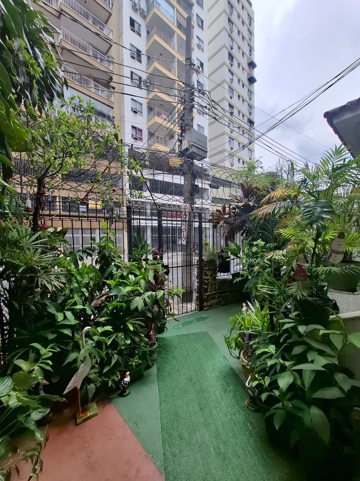A courtyard with a green pathway, surrounded by dense foliage and a metal fence.