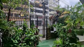 A courtyard with a green pathway, surrounded by dense foliage and a metal fence.