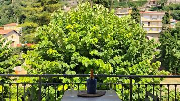 Una terrazza con un tavolo, due sedie e una bottiglia di champagne.