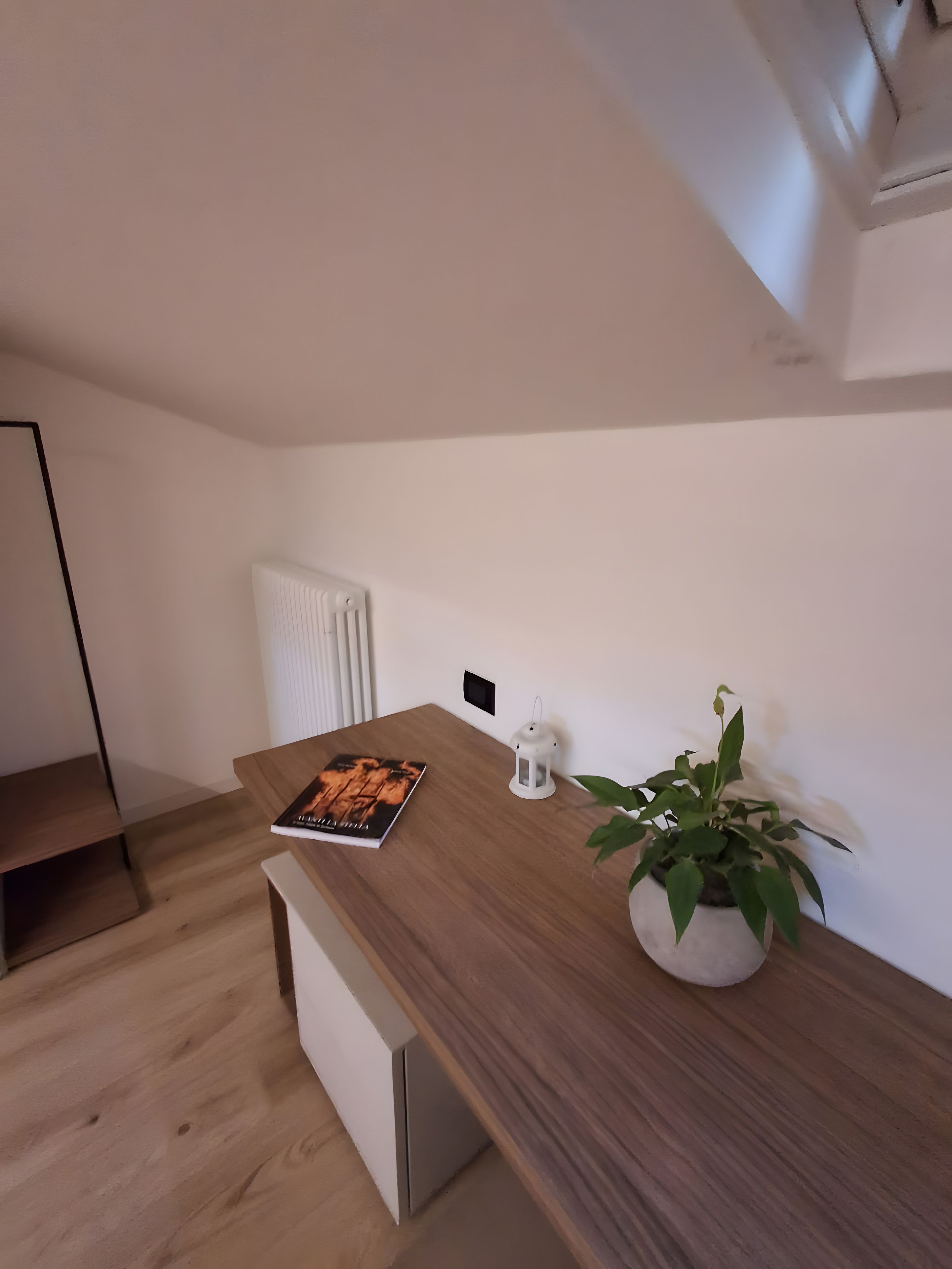 Une cuisine moderne avec un plan de travail en bois, une plante en pot et un livre.