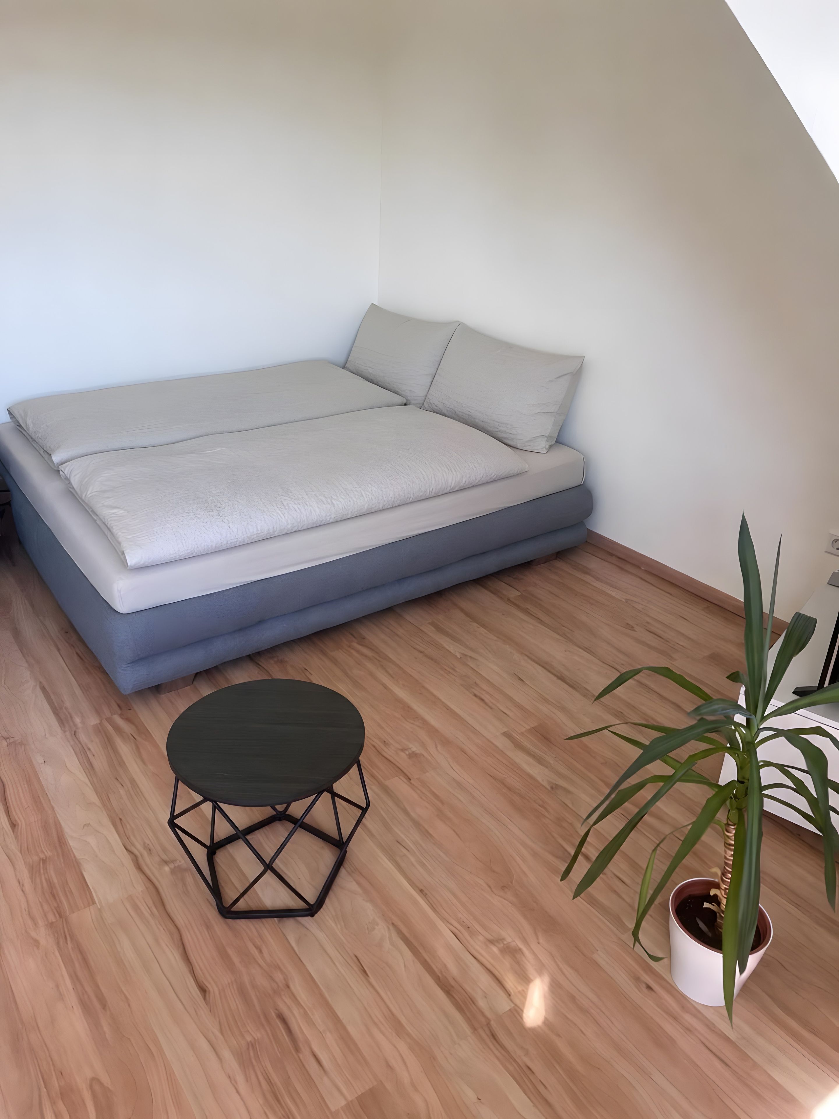 Ein Zimmer mit einem Bett, einem kleinen runden Tisch und einer Topfpflanze.